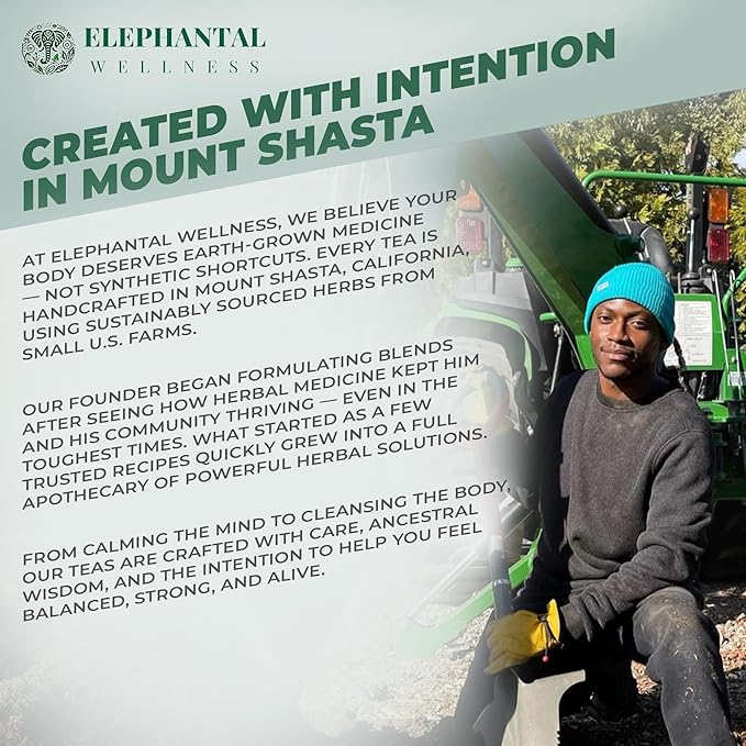 Elephantal Wellness Premium Joy Herbal Tea | Mood & Emotional Balance Support with St. John’s Wort, Kava, Ginkgo & Lavender | Handmade, Non-GMO, Caffeine-Free Loose Leaf Blend, 2oz, 20 Servings