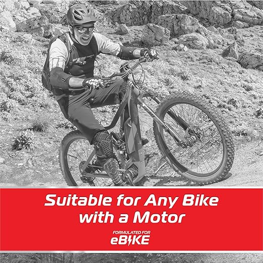 eBike Chain Lube – Lubricant for Electric Bikes – Durable Corrosion & Wear Protection, Friction Reduction, Race Day Blend – 300ml Aerosol (10.14 oz)