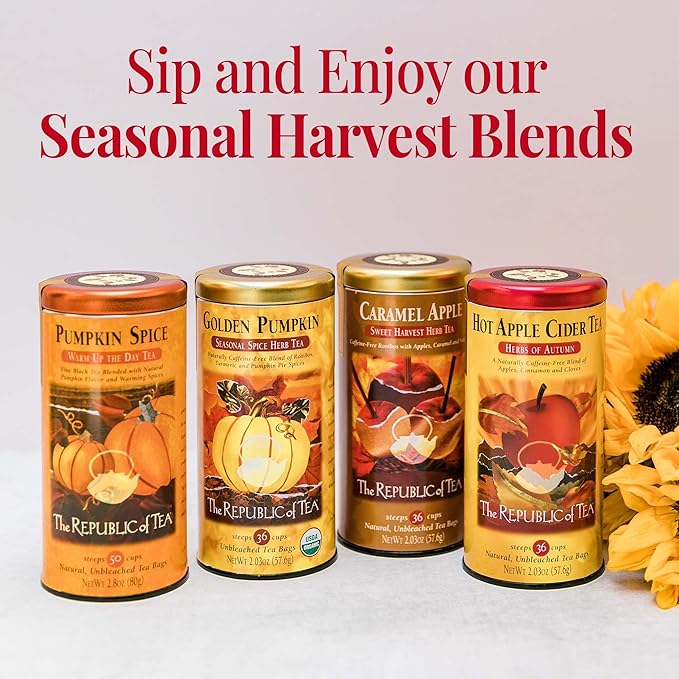 The Republic of Tea - Hot Apple Cider Tea, 36 Tea Bags, Tin | Harvest Herbal Blend | Caffeine-free