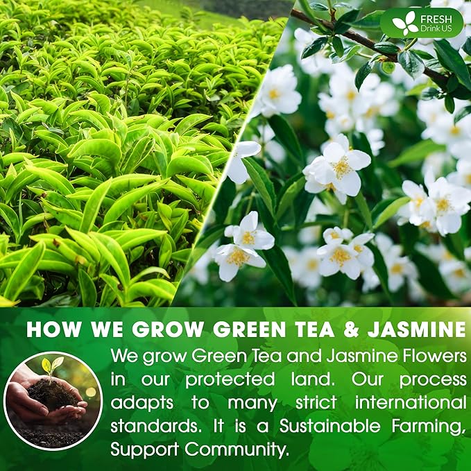 FreshDrinkUS, Premium 55 Jasmine Green Tea Bags, 100% Natural & Pure from Jasmine Green Tea. Jasmine Green Herbal Tea. Made with Natural Material Tea Bags. No Sugar, No Gluten, Vegan.