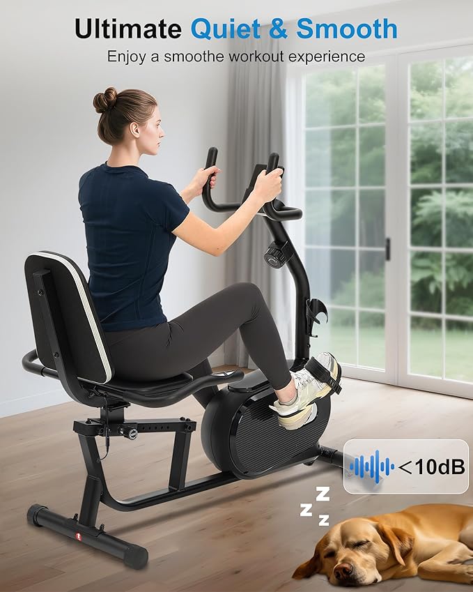 ECHANFIT Recumbent Exercise Bike for Home - 380LBS Weight Capacity, Exercise Bike with Smart Workout APP, 16-Level Magnetic Resistance, Backlit Display, Comfortable Seat