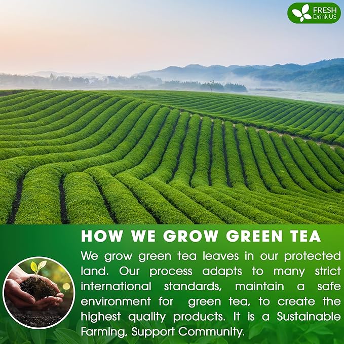 FreshDrinkUS, Premium 210 Green Tea Bags, 100% Natural & Pure from Green Tea. Green Herbal Tea. Made with Natural Material Tea Bags. No Sugar, No Gluten, Vegan.
