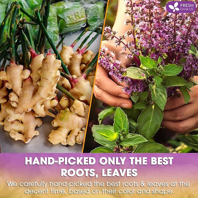 FreshDrinkUS, Premium 135 Ginger Tulsi Tea Bags, 100% Natural, Hand-made Blend of Ginger and Tulsi Holy Basil Leaves, Eco-conscious Tea Bags. Ginger Tulsi Herbal Tea. No Sugar, No Caffeine, Vegan.