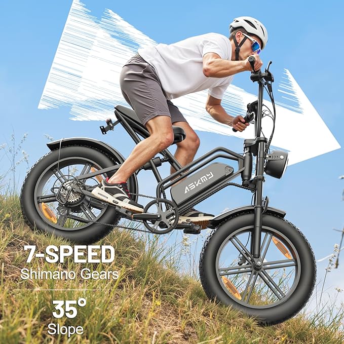 E500 Electric Bike for Adults 1000W Peak Motor, 20" Fat Tire Dirt E-Bike with 35MPH, 40 Miles PAS Range, Electric Bicycles with 48V Removable Battery, 7-Speed E Bike for Mountain Beach Sand Road Snow
