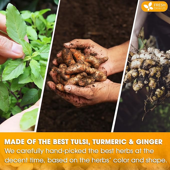 FreshDrinkUS, Premium 55 Tulsi Turmeric Ginger Tea Bags, 100% Natural & Pure from Tulsi Holy Basil Leaves, Turmeric and Ginger. Made with Natural Material Tea Bags. No Sugar, No Caffeine, Vegan.