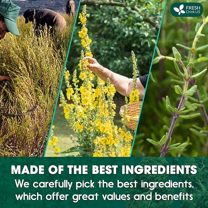 FreshDrinkUS StrongerLungs 20 Tea Bags - Mullein Leaf, Ginseng, Elderberry, Ginger & Thyme - Supports Lung Cleanse, Congestion Relief & Mucus Detox - Caffeine-Free & All-Natural