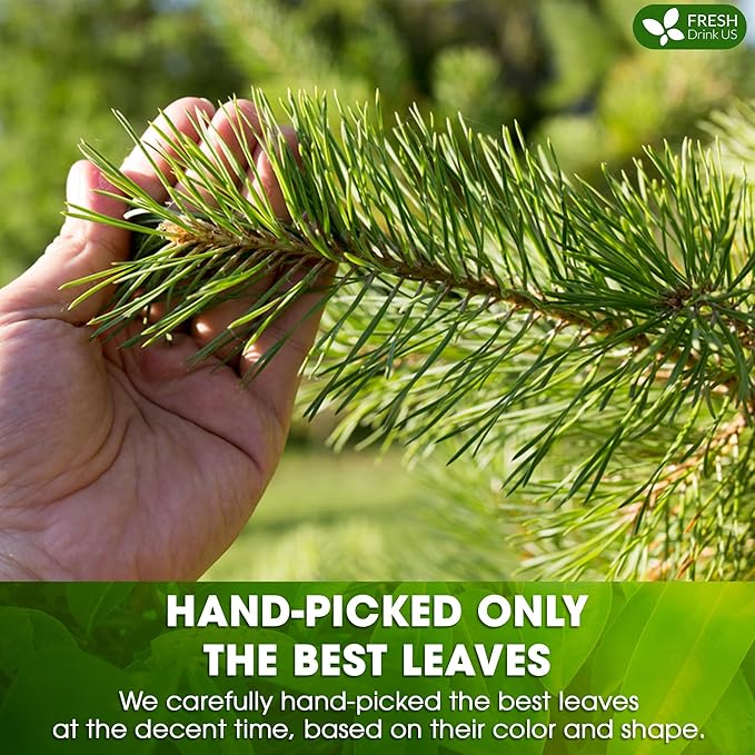 FreshDrinkUS, Pine Needle Tea Bags – 75 Tea Bags, Naturally Caffeine-Free, Refreshing Herbal Tea, Wild-Harvested Pine Leaves, Aromatic and Soothing – Non-GMO & Eco-Friendly Packaging