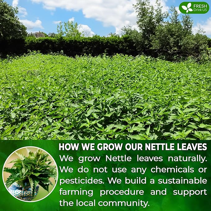 FreshDrinkUS, Premium 135 Nettle Leaf Tea Bags, 100% Natural & Pure, Stinging Nettle Leaf Tea, Nettle Leaf Tea, Burn Nettle, Stinging Nettle, Nettle Tea, Stinger Tea, No Sugar/ Caffeine & Gluten, Vegan