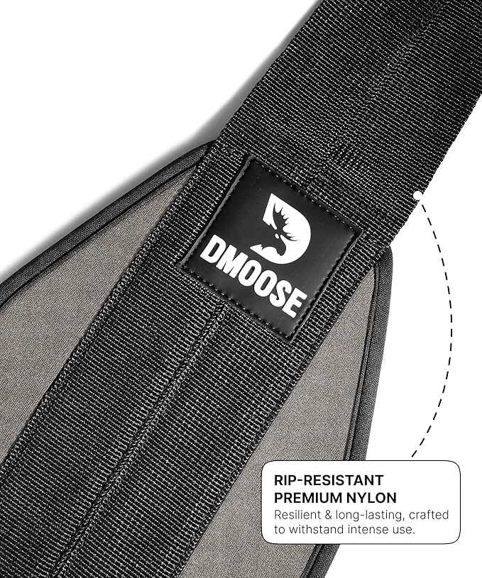 DMoose Fitness Hanging Ab Straps for Pull Up Bar & Core Strength Training - Soft Padded Exercise Straps for Ab Swing & Leg Raises, Hang Bar Strap with 2 Steel Carabiners - Abs Equipment for Home & Gym