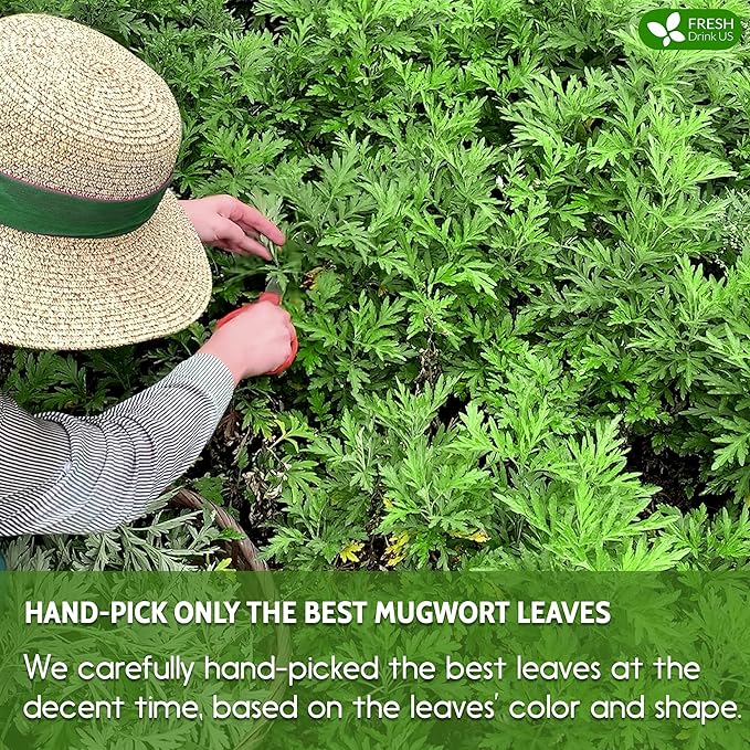 FreshDrinkUS, Premium 25 Mugwort Leaf Tea Bags, 100% Natural and Pure Mugwort Leaves. Loose Leaf Mugwort Herbal Tea. Mugwort Leaf Tea. No Sugar, No Caffeine, No Gluten, Vegan. (25 Tea Bags)