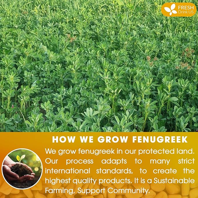 FreshDrinkUS, Premium 55 Fenugreek Tea Bags, 100% Natural & Pure from Fenugreek. Fenugreek Herbal Tea. Made with Natural Material Tea Bags. No Sugar, No Caffeine, No Gluten, Vegan.